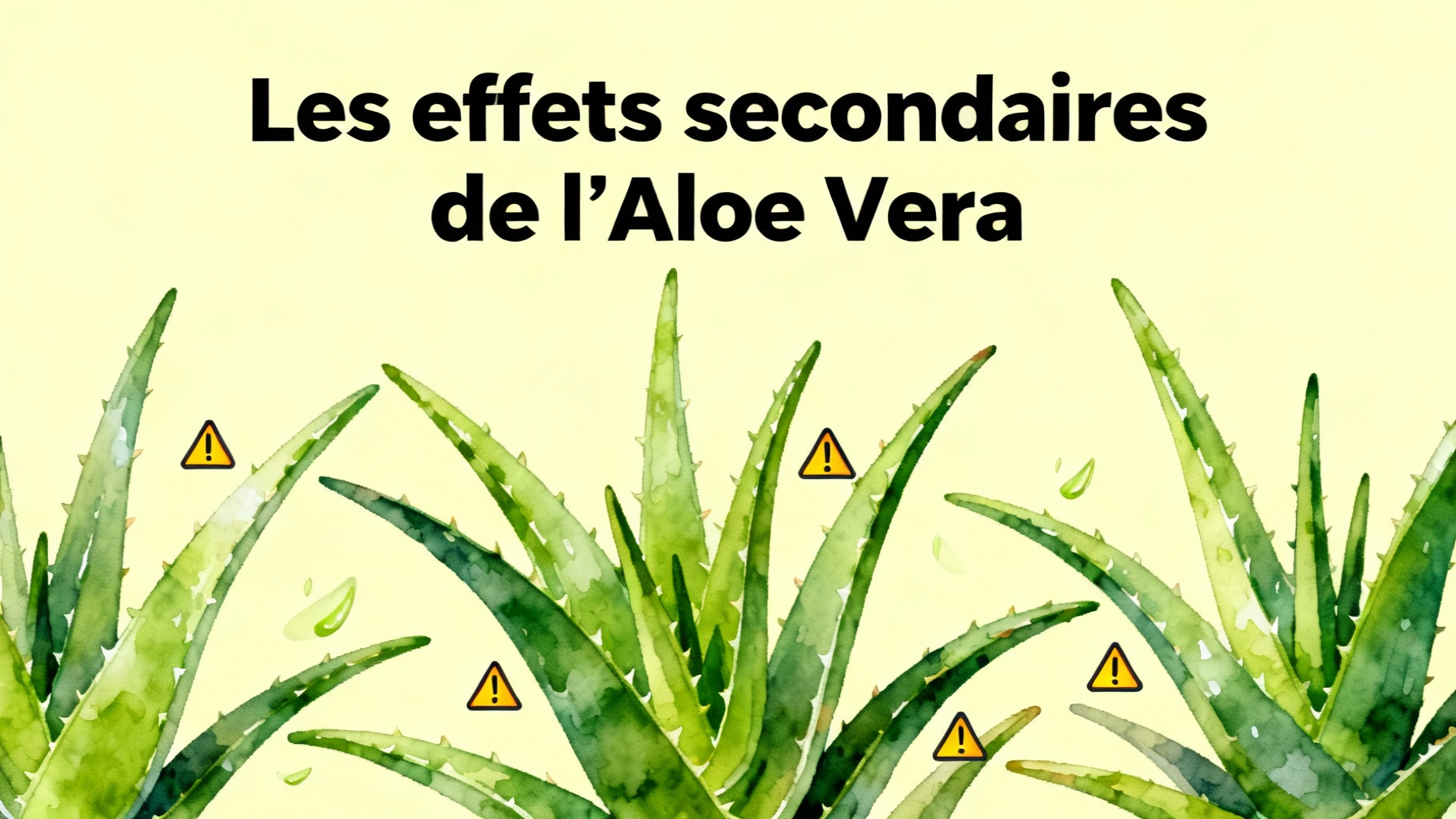 Aloe Vera: Quali Rischi per la Salute? 1 Gli effetti collaterali dell'Aloe Vera